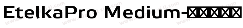 EtelkaPro Medium字体转换